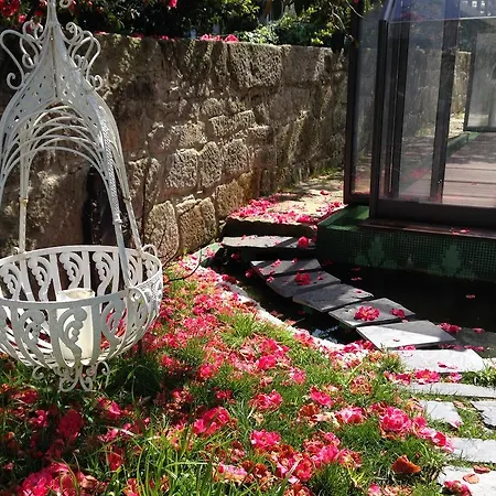 Guest house Boavista Eco-luxury House *